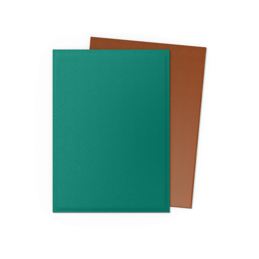 Dragon Shield: Standard 100ct Sleeves - Power and Copper