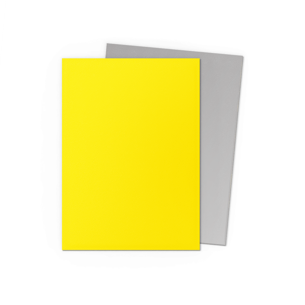 Dragon Shield: Standard 100ct Sleeves - Yellow & Silver (Dual Matte)