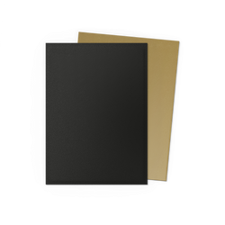 Dragon Shield: Standard 100ct Sleeves - Black and Gold
